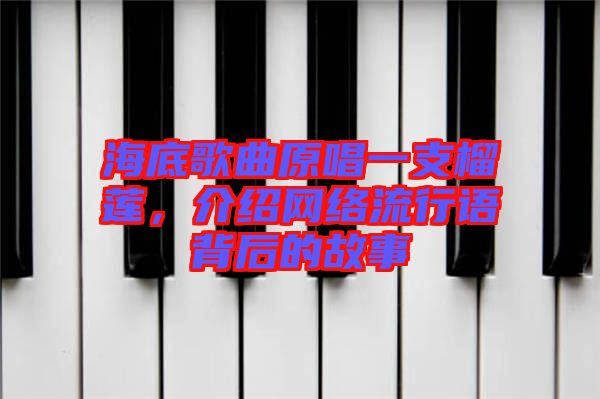 海底歌曲原唱一支榴蓮，介紹網(wǎng)絡(luò)流行語(yǔ)背后的故事