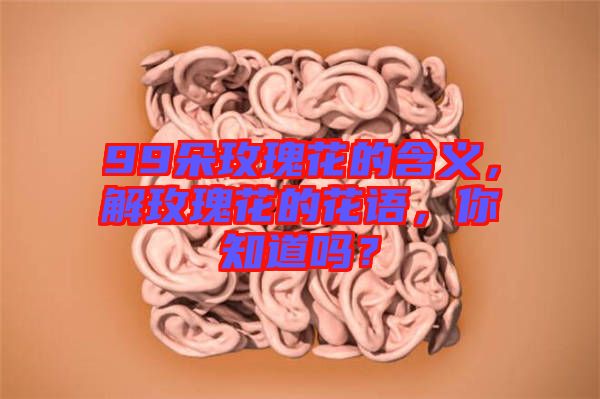 99朵玫瑰花的含義，解玫瑰花的花語(yǔ)，你知道嗎？