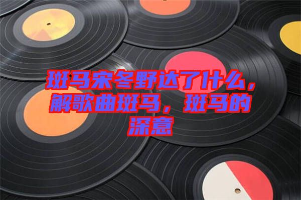 斑馬宋冬野達了什么，解歌曲斑馬，斑馬的深意