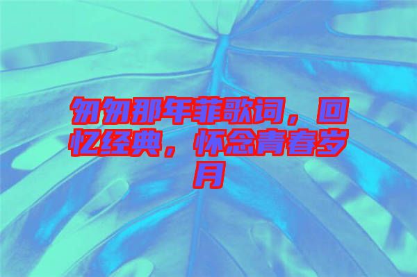 匆匆那年菲歌詞，回憶經(jīng)典，懷念青春歲月