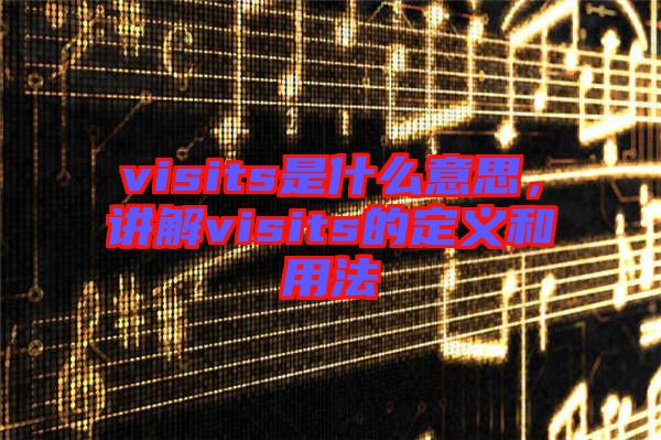 visits是什么意思，講解visits的定義和用法