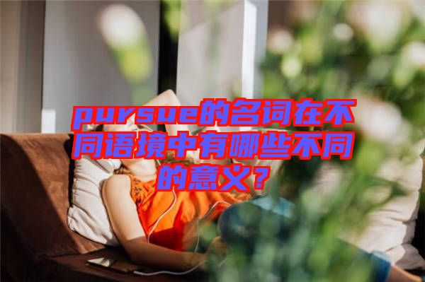 pursue的名詞在不同語(yǔ)境中有哪些不同的意義？