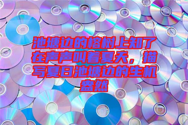 池塘邊的榕樹上知了在聲聲叫著夏天，描寫夏日池塘邊的生機(jī)盎然