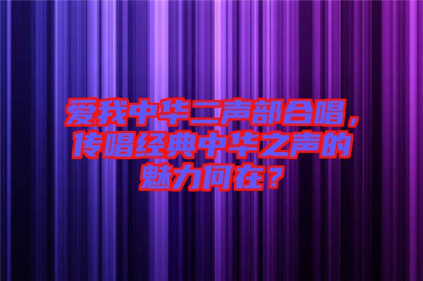 愛我中華二聲部合唱，傳唱經(jīng)典中華之聲的魅力何在？