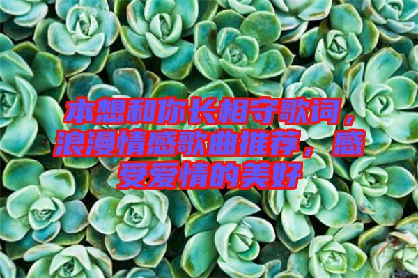 本想和你長(zhǎng)相守歌詞，浪漫情感歌曲推薦，感受愛(ài)情的美好