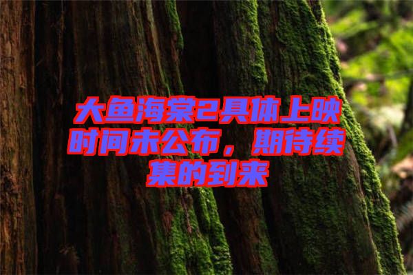 大魚海棠2具體上映時間未公布，期待續(xù)集的到來