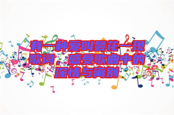 有一種愛叫曇花一現(xiàn)歌詞，感受歌曲中的深情與離別