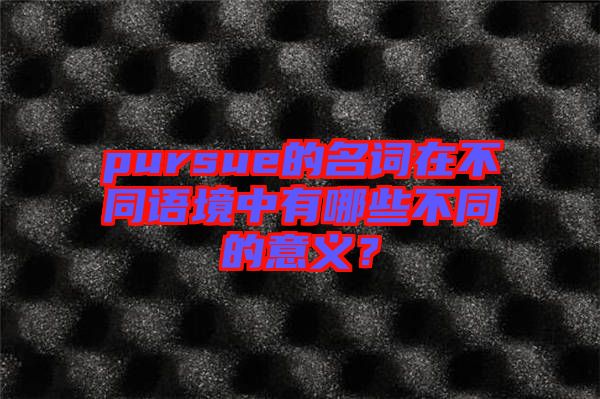 pursue的名詞在不同語境中有哪些不同的意義？