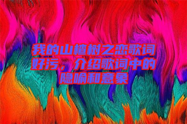 我的山楂樹之戀歌詞好污，介紹歌詞中的隱喻和意象