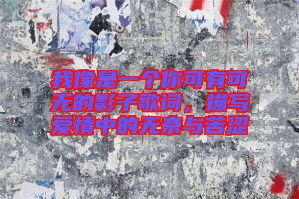 我像是一個你可有可無的影子歌詞，描寫愛情中的無奈與苦澀