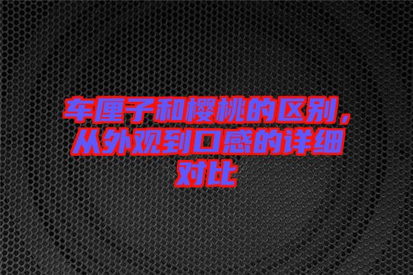 車?yán)遄雍蜋烟业膮^(qū)別，從外觀到口感的詳細(xì)對(duì)比