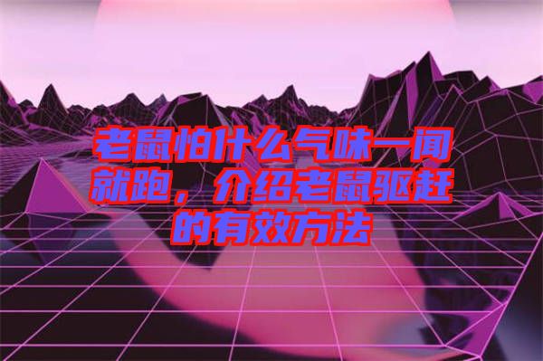 老鼠怕什么氣味一聞就跑，介紹老鼠驅(qū)趕的有效方法