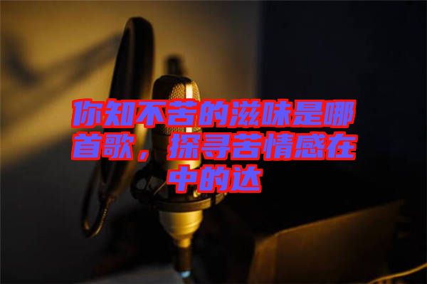 你知不苦的滋味是哪首歌，探尋苦情感在中的達