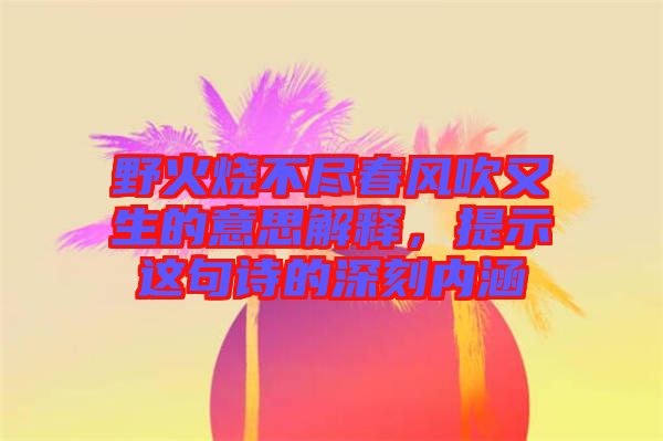 野火燒不盡春風(fēng)吹又生的意思解釋，提示這句詩的深刻內(nèi)涵