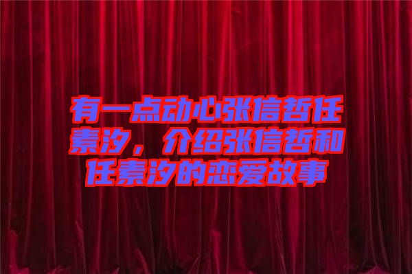 有一點動心張信哲任素汐，介紹張信哲和任素汐的戀愛故事