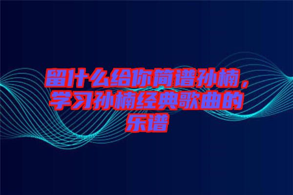 留什么給你簡譜孫楠，學(xué)習(xí)孫楠經(jīng)典歌曲的樂譜