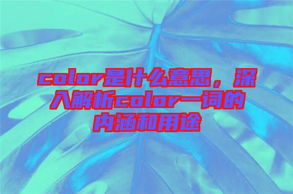 color是什么意思，深入解析color一詞的內(nèi)涵和用途