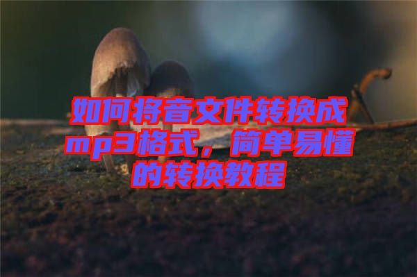 如何將音文件轉(zhuǎn)換成mp3格式，簡(jiǎn)單易懂的轉(zhuǎn)換教程