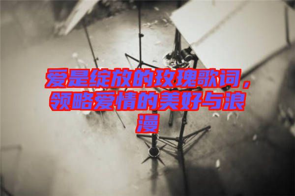 愛是綻放的玫瑰歌詞，領(lǐng)略愛情的美好與浪漫