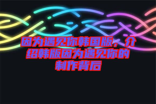 因?yàn)橛鲆娔沩n國版，介紹韓版因?yàn)橛鲆娔愕闹谱鞅澈? width=