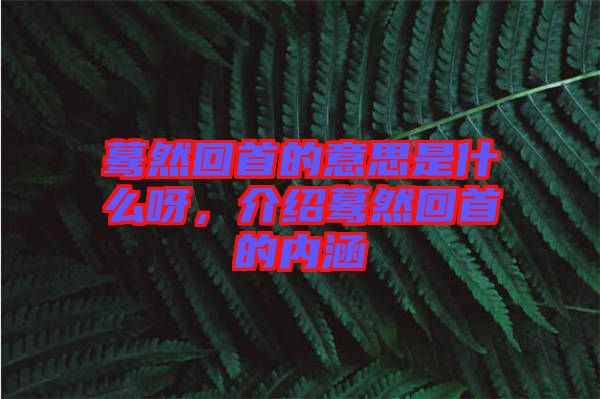 驀然回首的意思是什么呀，介紹驀然回首的內(nèi)涵