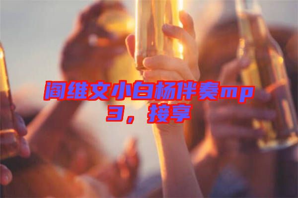 閻維文小白楊伴奏mp3，接享