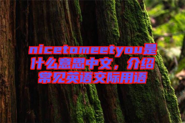 nicetomeetyou是什么意思中文，介紹常見(jiàn)英語(yǔ)交際用語(yǔ)