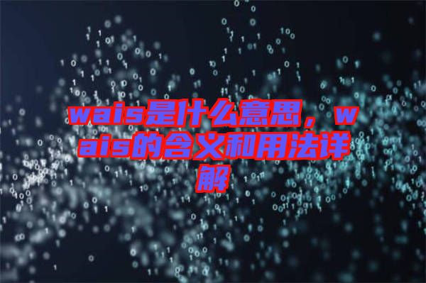 wais是什么意思，wais的含義和用法詳解