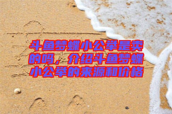 斗魚夢蝶小公舉是賣的嗎，介紹斗魚夢蝶小公舉的來源和價(jià)格