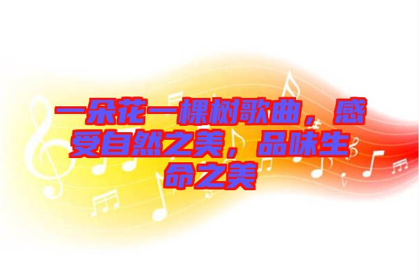 一朵花一棵樹歌曲，感受自然之美，品味生命之美