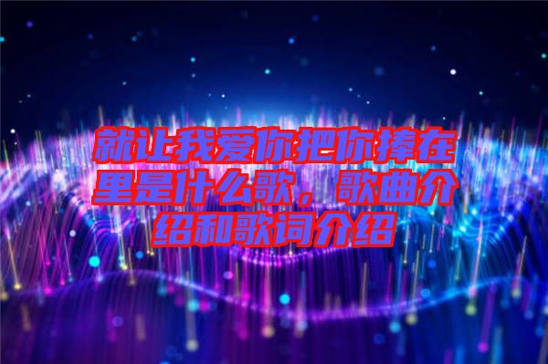 就讓我愛(ài)你把你捧在里是什么歌，歌曲介紹和歌詞介紹