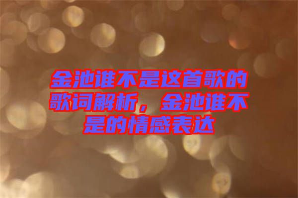 金池誰(shuí)不是這首歌的歌詞解析，金池誰(shuí)不是的情感表達(dá)