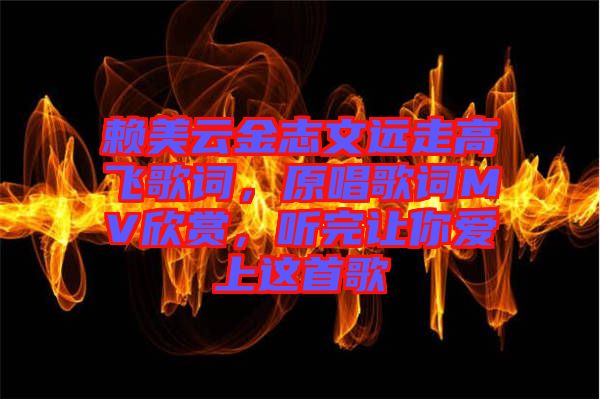 賴美云金志文遠(yuǎn)走高飛歌詞，原唱歌詞MV欣賞，聽完讓你愛上這首歌