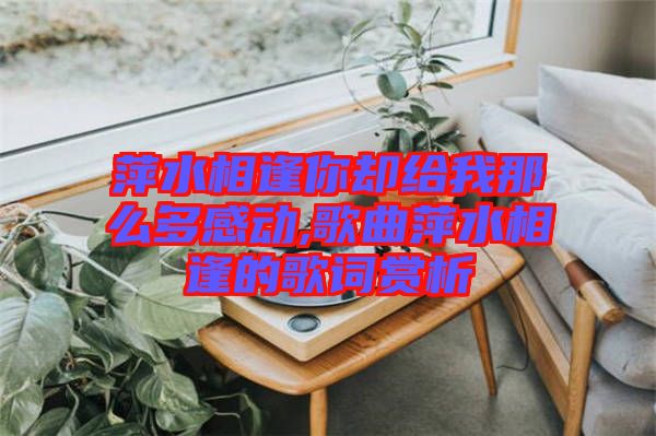 萍水相逢你卻給我那么多感動(dòng),歌曲萍水相逢的歌詞賞析