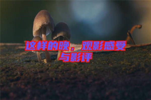 這樣的晚，觀影感受與影評