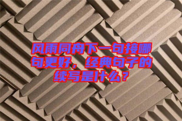 風(fēng)雨同舟下一句接哪句更好，經(jīng)典句子的續(xù)寫(xiě)是什么？