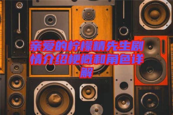 親愛的檸檬精先生劇情介紹梗概和角色詳解