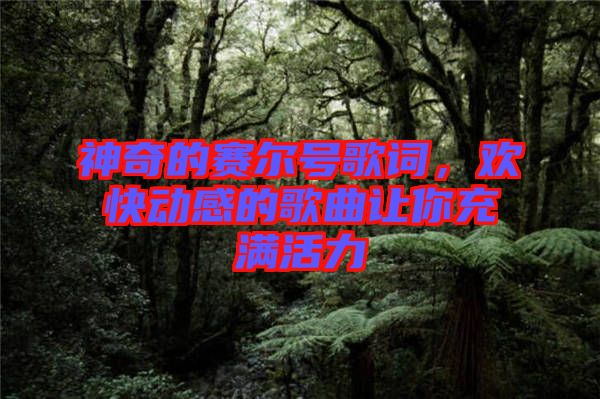 神奇的賽爾號歌詞，歡快動感的歌曲讓你充滿活力