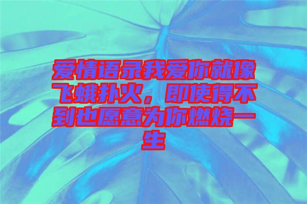 愛(ài)情語(yǔ)錄我愛(ài)你就像飛蛾撲火，即使得不到也愿意為你燃燒一生