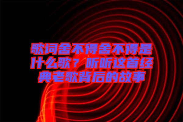 歌詞舍不得舍不得是什么歌？聽聽這首經(jīng)典老歌背后的故事