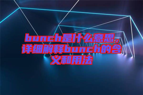 bunch是什么意思，詳細解釋bunch的含義和用法