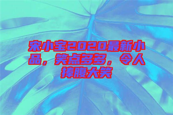 宋小寶2020最新小品，笑點多多，令人捧腹大笑