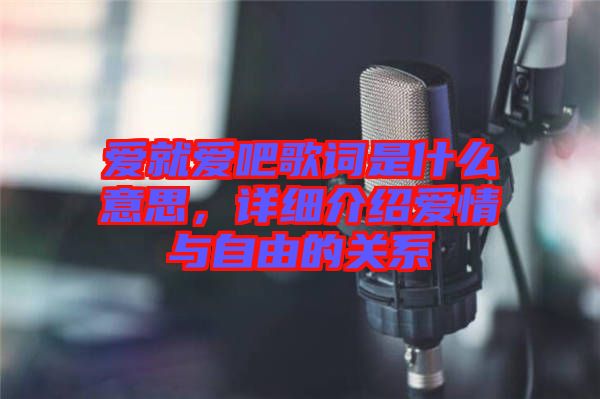 愛就愛吧歌詞是什么意思，詳細(xì)介紹愛情與自由的關(guān)系