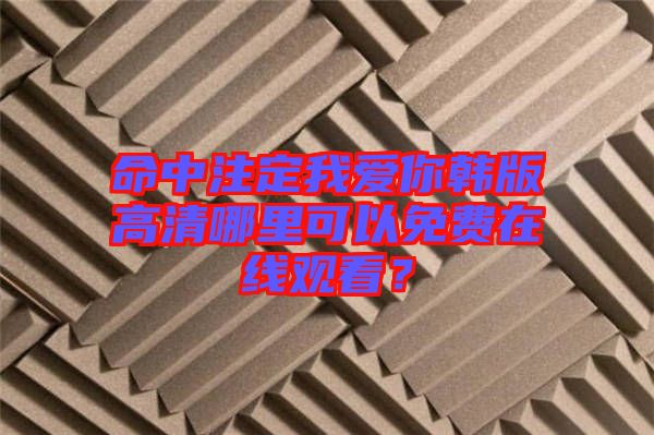 命中注定我愛你韓版高清哪里可以免費(fèi)在線觀看？