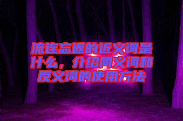 流連忘返的近義詞是什么，介紹同義詞和反義詞的使用方法