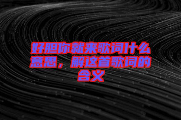 好膽你就來歌詞什么意思，解這首歌詞的含義