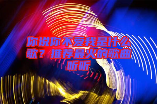 你說你不愛我是什么歌？推薦最火的歌曲聽聽