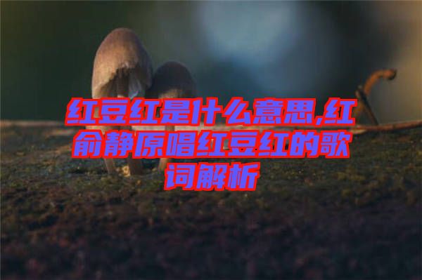 紅豆紅是什么意思,紅俞靜原唱紅豆紅的歌詞解析