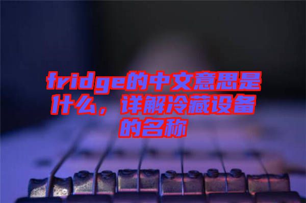 fridge的中文意思是什么，詳解冷藏設(shè)備的名稱