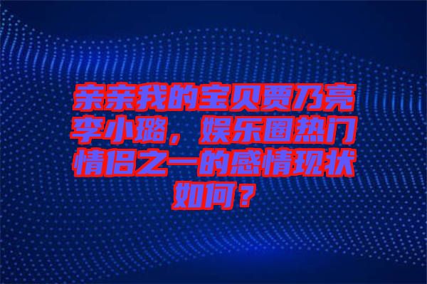 親親我的寶貝賈乃亮李小璐，娛樂圈熱門情侶之一的感情現(xiàn)狀如何？